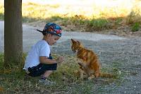 PHOTO DE LA SEMAINE #26