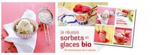 De l’art de réussir sorbets et glaces bio…