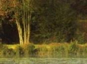 marais autour Deûle, Lys, Marque...