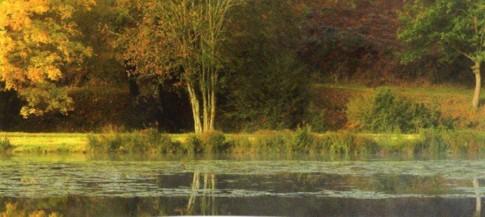 Les marais autour de la Deûle, de la Lys, de la Marque...