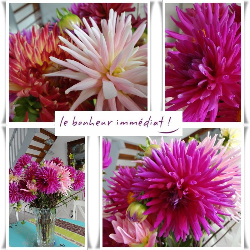 Bon dimanche, 29 juillet 2012