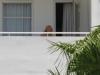 thumbs miami balcony 281729 Photos : Britney sur le balcon de son hôtel à Miami   27/07/2012