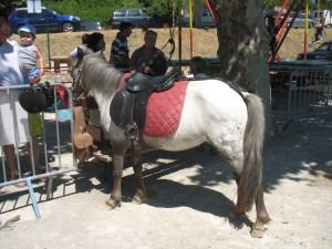 Journée des enfants 2012