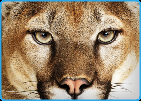 Comment apprivoiser OS X Mountain Lion en 7 astuces!