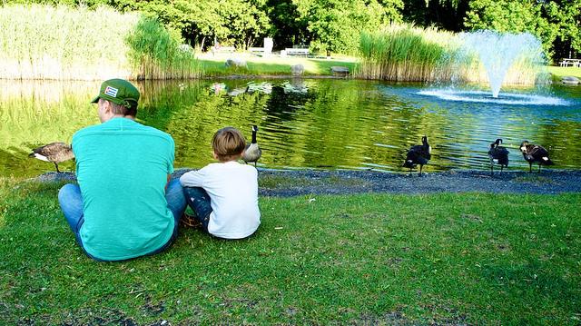 anteketborka.blogspot.com, parc7