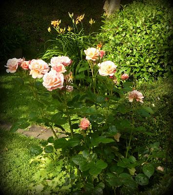 Il va être temps pour moi de me préoccuper des préparatif...