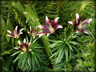 Il va être temps pour moi de me préoccuper des préparatif...