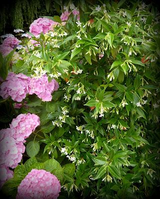 Il va être temps pour moi de me préoccuper des préparatif...