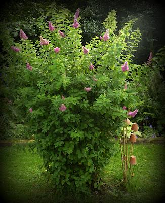 Il va être temps pour moi de me préoccuper des préparatif...