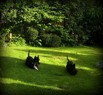 Il va être temps pour moi de me préoccuper des préparatif...