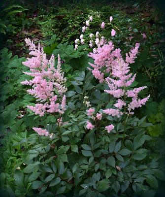 Il va être temps pour moi de me préoccuper des préparatif...