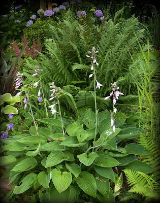 Il va être temps pour moi de me préoccuper des préparatif...