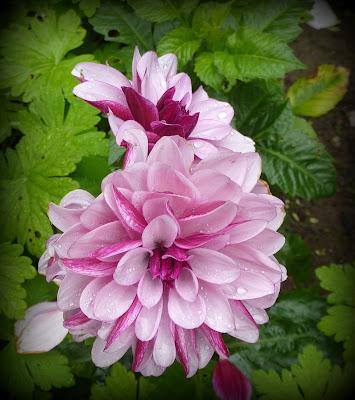 Il va être temps pour moi de me préoccuper des préparatif...