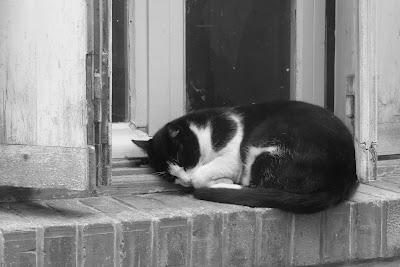 Les pieds dans les cordes, et la tête dans le ciel.