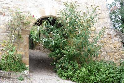 Les pieds dans les cordes, et la tête dans le ciel.
