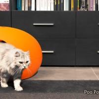 SinDesign - La litiere pour chat dans le salon