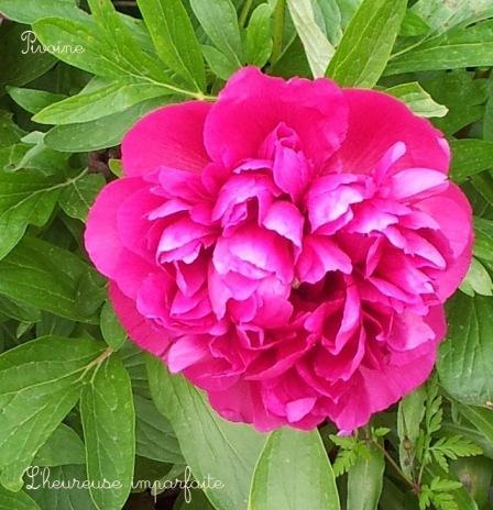 Confidences pour confidences, la suite…