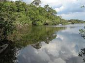 Cuyabeno, exemple pour l’avenir l’Amazonie