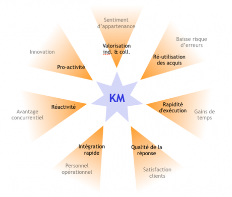 knowledge management gestion des connaissances google