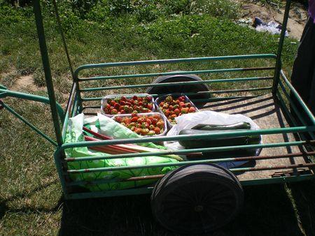 Cueillette Fruits Legumes Lutetiablog Lutetia Blog