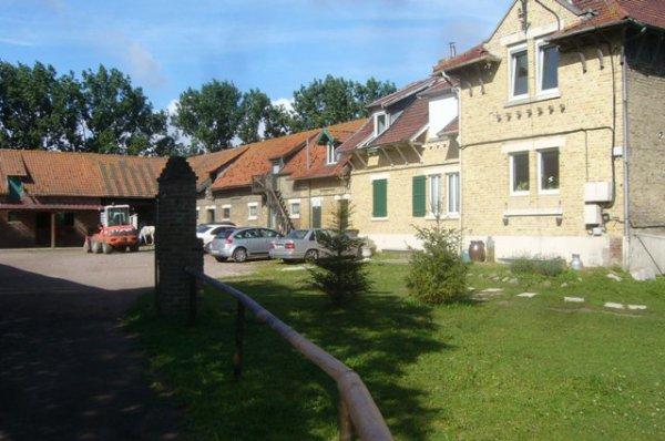 Une tranquille matinée de vacances au Centre équestre de la Ferme des Briques à Auchy-les-Mines (Pas-de-Calais)