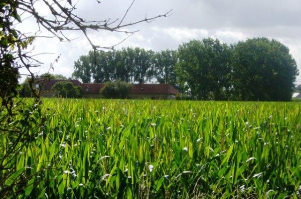 Une tranquille matinée de vacances au Centre équestre de la Ferme des Briques à Auchy-les-Mines (Pas-de-Calais)