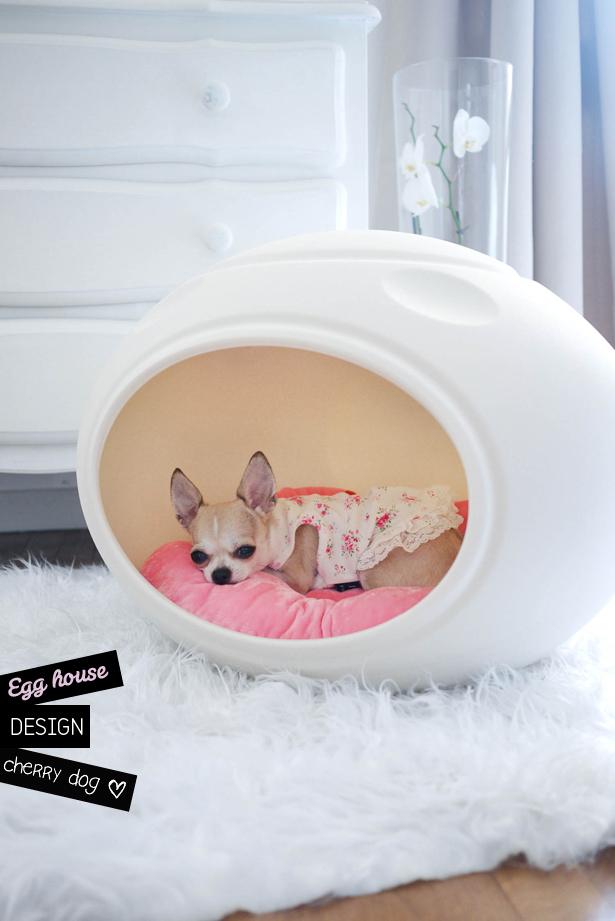 Design pour chiens : la Egg house