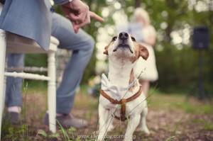 Les « publications-rendez-vous », c’est tout au long des vacances !