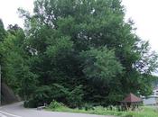 [Oeillades numériques] Prendre pouls vidéo