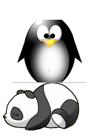 panda penguin