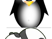 Panda, pingouin… ménagerie Google