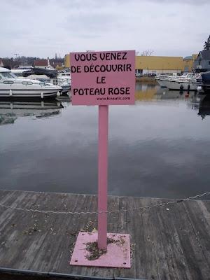 Insolite edition  //