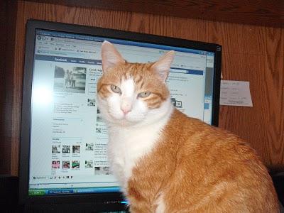 Facebook : 8,7 % des comptes sont des faux