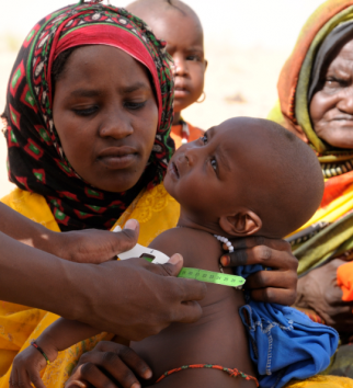Urgence Sahel: Le point sur la crise
