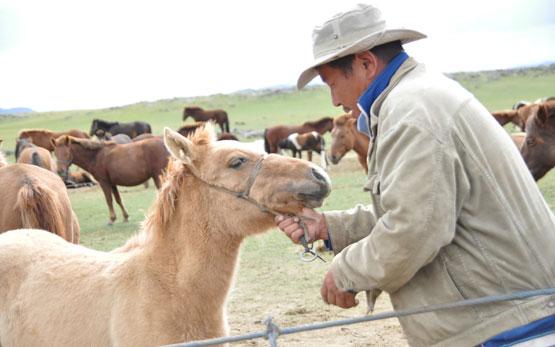 Jour 9 : Lait de jument et ascension à 2312 mètres