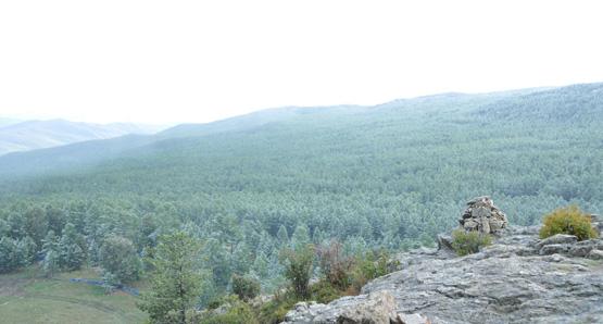 Jour 9 : Lait de jument et ascension à 2312 mètres