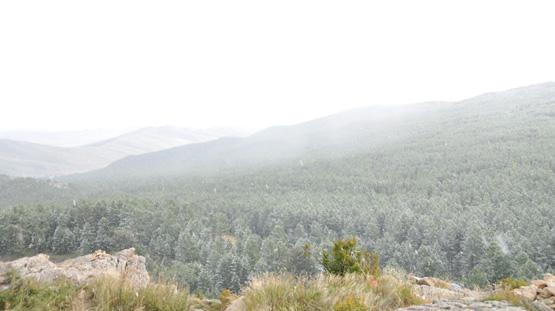 Jour 9 : Lait de jument et ascension à 2312 mètres