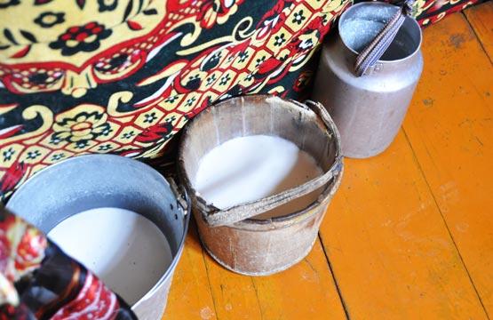 Jour 9 : Lait de jument et ascension à 2312 mètres