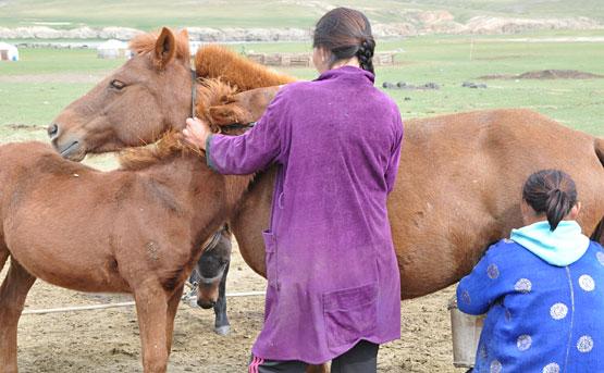 Jour 9 : Lait de jument et ascension à 2312 mètres