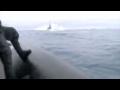 Leïla en vert et contre tout: Sea Shepherd et ses baleines à bombe
