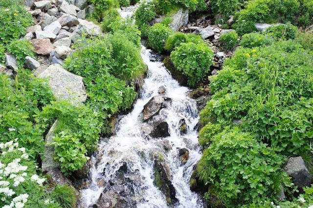 Je vous emmène ... au Col de la Lombarde