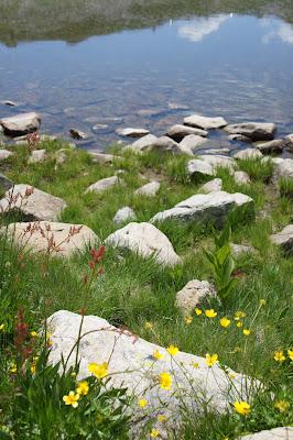 Je vous emmène ... au Col de la Lombarde