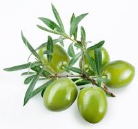 Beurre végétal d'olive