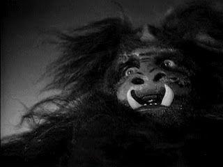 terrorMidnight Sun Big guy