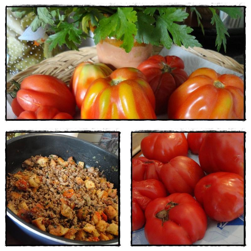Les tomates de la motte, 1er août 2012