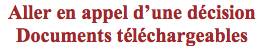 Capture d’écran 2012-08-03 à 21.56.03 Cour d’Appel du Québec: Comment faire ?