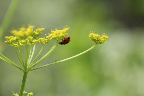 5 romilly 4 août 2012 048.jpg