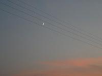 PHOTO DE LA SEMAINE #27