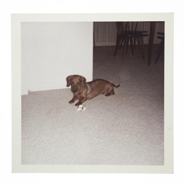 Polaroids très Cabots !