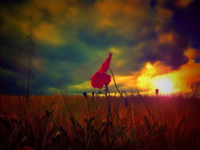 Cool Capture sur iPhone, août 2012...